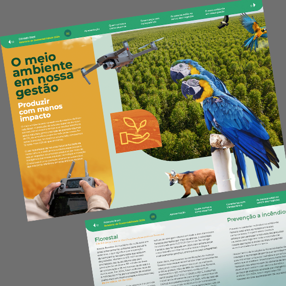 Relatório de sustentabilidade - Eldorado Imagem 2